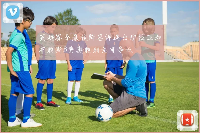 英超赛季最佳阵容评选出炉拉亚加布赖斯B费奥赖利无可争议
