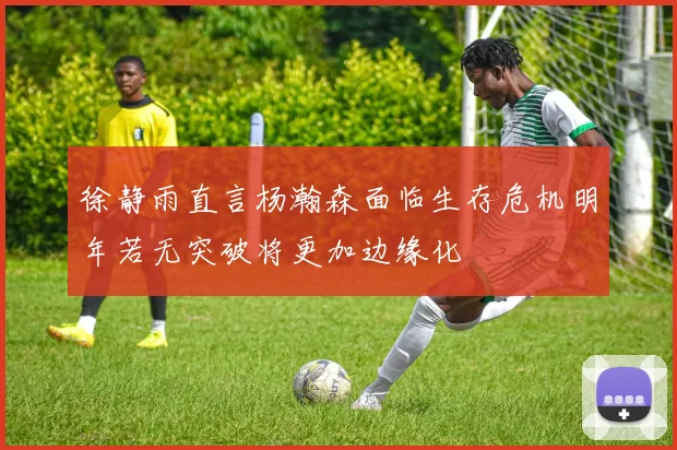 徐静雨直言杨瀚森面临生存危机明年若无突破将更加边缘化