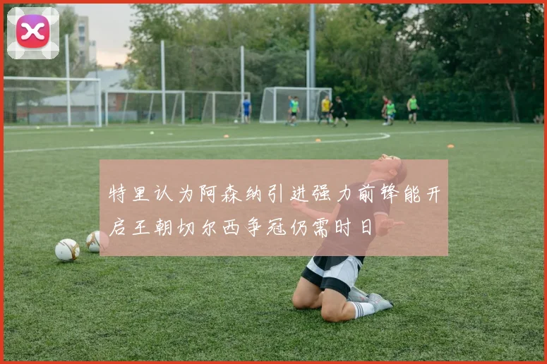 特里认为阿森纳引进强力前锋能开启王朝切尔西争冠仍需时日