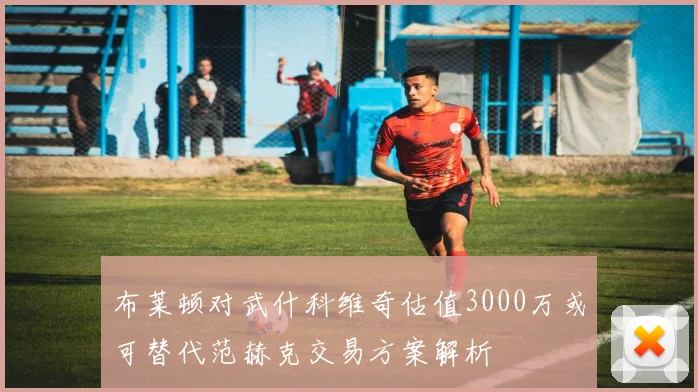 布莱顿对武什科维奇估值3000万或可替代范赫克交易方案解析